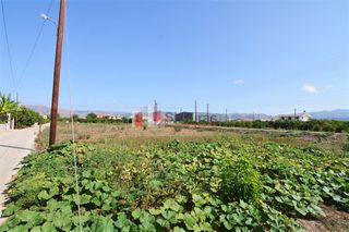 Οικόπεδο 700 τ.μ. για πώληση, Αργολίδα, Μιδέα-thumb-7
