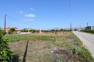 Οικόπεδο 1.277 τ.μ. για πώληση, Αργολίδα, Μιδέα-thumb-9
