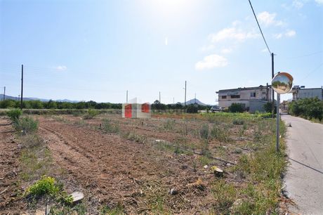 Οικόπεδο 1.277τ.μ. για πώληση-Μιδέα