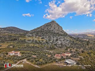 Αγροτεμάχια 1.600 τ.μ. για πώληση, Αργολίδα, Ασίνη-thumb-17