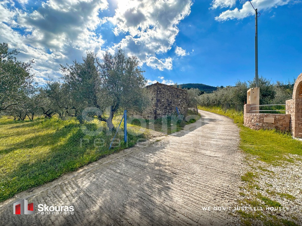 Αγροτεμάχια 1.600 τ.μ. προς πώληση, Κέντρο Ασίνης