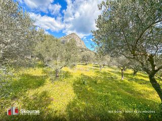 Αγροτεμάχια 1.600 τ.μ. για πώληση, Αργολίδα, Ασίνη-thumb-15