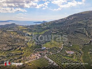 Αγροτεμάχια 1.600 τ.μ. για πώληση, Αργολίδα, Ασίνη-thumb-9