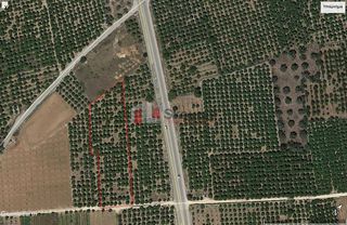 Αγροτεμάχια 4.000 τ.μ. για πώληση