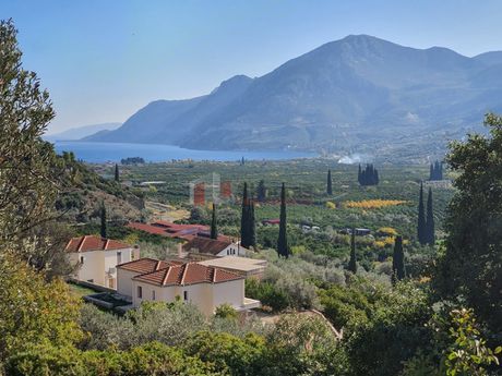 Αγροτεμάχια 3.800τ.μ. για πώληση-Επίδαυρος