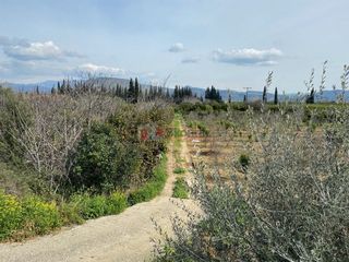 Αγροτεμάχια 4.838 τ.μ. για πώληση, Αργολίδα, Ασίνη-thumb-22