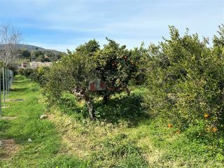 Αγροτεμάχια 4.838 τ.μ. για πώληση, Αργολίδα, Ασίνη-thumb-9
