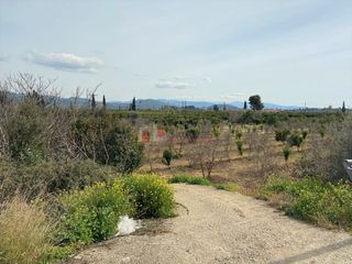 Αγροτεμάχια 4.838 τ.μ. για πώληση, Αργολίδα, Ασίνη-thumb-23