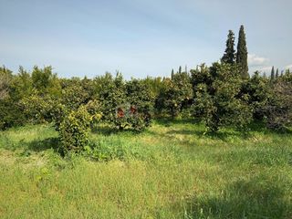 Αγροτεμάχια 4.838 τ.μ. για πώληση, Αργολίδα, Ασίνη-thumb-5