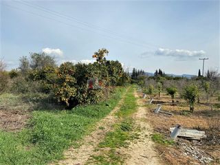 Αγροτεμάχια 4.838 τ.μ. για πώληση, Αργολίδα, Ασίνη-thumb-2