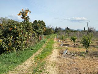Αγροτεμάχια 4.838 τ.μ. για πώληση, Αργολίδα, Ασίνη-thumb-6