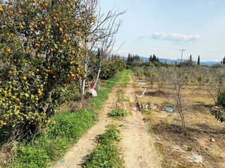 Αγροτεμάχια 4.838 τ.μ. για πώληση, Αργολίδα, Ασίνη-thumb-24