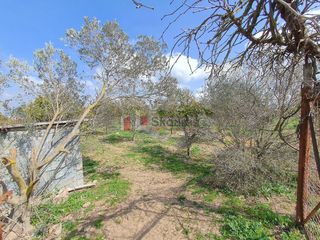 Αγροτεμάχια 4.600 τ.μ. για πώληση, Αργολίδα, Νέα Κίος-thumb-20