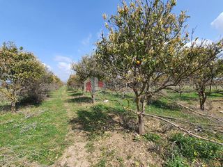 Αγροτεμάχια 4.600 τ.μ. για πώληση, Αργολίδα, Νέα Κίος-thumb-3