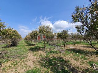 Αγροτεμάχια 4.600 τ.μ. για πώληση, Αργολίδα, Νέα Κίος-thumb-22