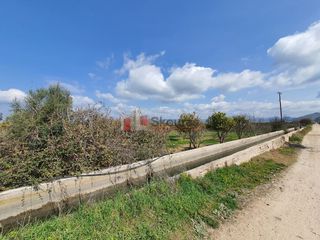 Αγροτεμάχια 4.600 τ.μ. για πώληση, Αργολίδα, Νέα Κίος-thumb-18