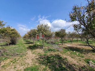 Αγροτεμάχια 4.600 τ.μ. για πώληση, Αργολίδα, Νέα Κίος-thumb-23