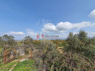 Αγροτεμάχια 4.600 τ.μ. για πώληση, Αργολίδα, Νέα Κίος-thumb-1