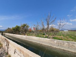 Αγροτεμάχια 4.600 τ.μ. για πώληση, Αργολίδα, Νέα Κίος-thumb-5