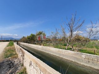 Αγροτεμάχια 4.600 τ.μ. για πώληση, Αργολίδα, Νέα Κίος-thumb-13