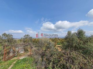 Αγροτεμάχια 4.600 τ.μ. για πώληση, Αργολίδα, Νέα Κίος-thumb-6
