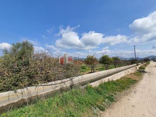 Αγροτεμάχια 4.600 τ.μ. για πώληση, Αργολίδα, Νέα Κίος-thumb-17