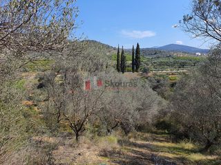 Αγροτεμάχια 3.215 τ.μ. για πώληση, Αργολίδα, Ναύπλιο-thumb-2