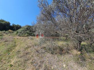 Αγροτεμάχια 3.215 τ.μ. για πώληση, Αργολίδα, Ναύπλιο-thumb-8