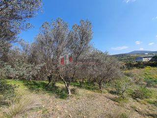 Αγροτεμάχια 3.215 τ.μ. για πώληση, Αργολίδα, Ναύπλιο-thumb-7