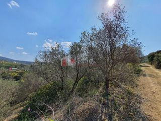 Αγροτεμάχια 3.215 τ.μ. για πώληση, Αργολίδα, Ναύπλιο-thumb-3