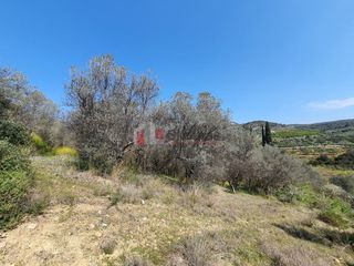 Αγροτεμάχια 3.215 τ.μ. για πώληση, Αργολίδα, Ναύπλιο-thumb-21