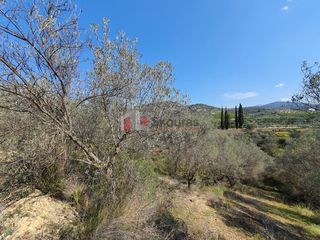 Αγροτεμάχια 3.215 τ.μ. για πώληση, Αργολίδα, Ναύπλιο-thumb-1