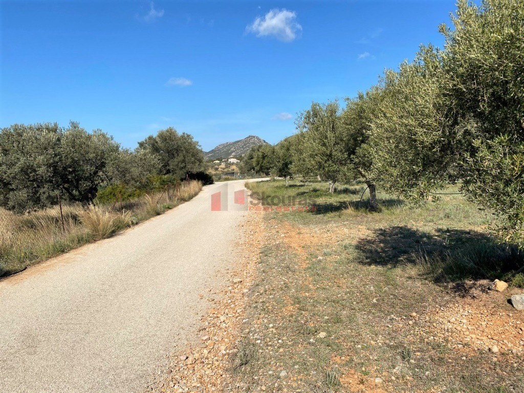 Αγροτεμάχια 21.000 τ.μ. προς πώληση, Ερμιόνη