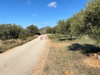 Αγροτεμάχια 21.000 τ.μ. για πώληση, Αργολίδα, Ερμιόνη-thumb-2