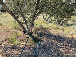 Αγροτεμάχια 21.000 τ.μ. για πώληση, Αργολίδα, Ερμιόνη-thumb-17