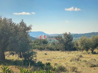 Αγροτεμάχια 21.000 τ.μ. για πώληση, Αργολίδα, Ερμιόνη-thumb-8