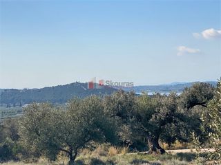 Αγροτεμάχια 21.000 τ.μ. για πώληση, Αργολίδα, Ερμιόνη-thumb-10