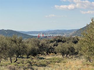 Αγροτεμάχια 21.000 τ.μ. για πώληση, Αργολίδα, Ερμιόνη-thumb-15