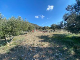 Αγροτεμάχια 21.000 τ.μ. για πώληση, Αργολίδα, Ερμιόνη-thumb-4