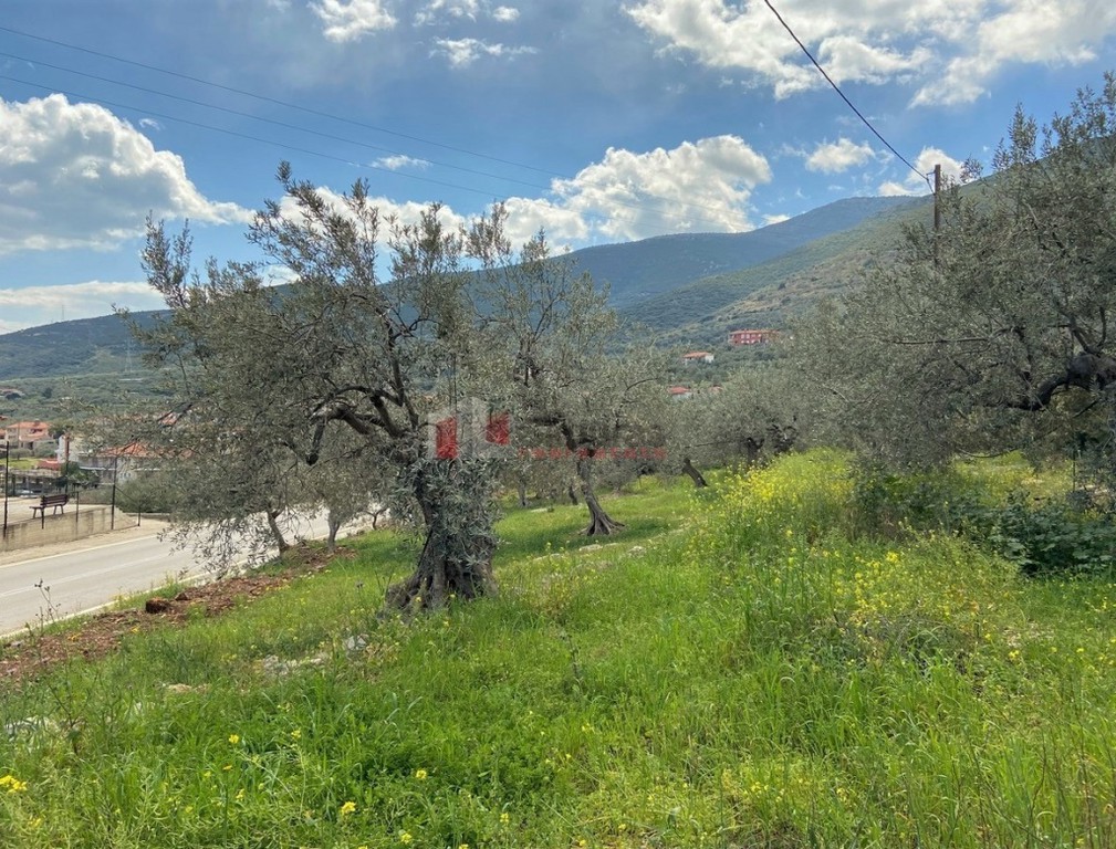 Οικόπεδο 611 τ.μ. προς πώληση, Ξηροπήγαδο Βόρειας Κυνουρίας