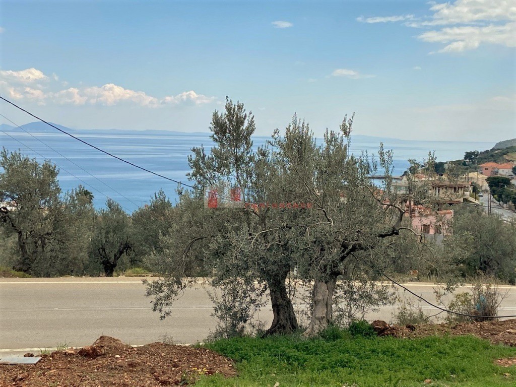 Οικόπεδο 611 τ.μ. προς πώληση, Ξηροπήγαδο Βόρειας Κυνουρίας