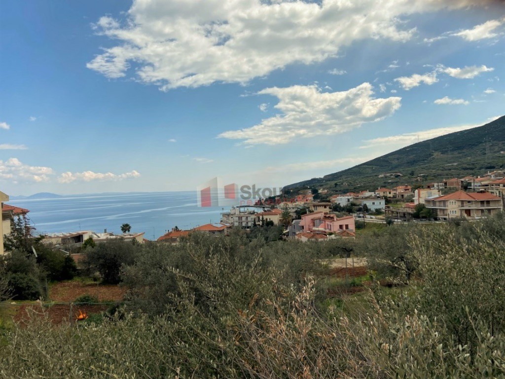 Οικόπεδο 611 τ.μ. προς πώληση, Ξηροπήγαδο Βόρειας Κυνουρίας
