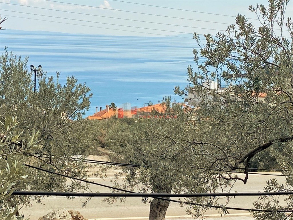 Οικόπεδο 611 τ.μ. προς πώληση, Ξηροπήγαδο Βόρειας Κυνουρίας