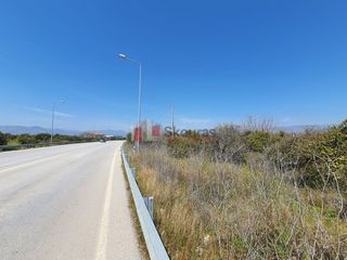 Οικόπεδο 2.630 τ.μ. για πώληση, Αργολίδα, Μιδέα-thumb-24