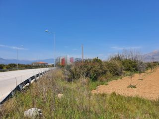 Οικόπεδο 2.630 τ.μ. για πώληση, Αργολίδα, Μιδέα-thumb-6