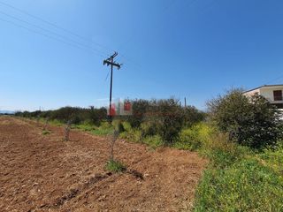 Οικόπεδο 2.630 τ.μ. για πώληση, Αργολίδα, Μιδέα-thumb-17