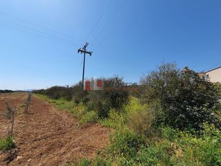 Οικόπεδο 2.630 τ.μ. για πώληση, Αργολίδα, Μιδέα-thumb-15