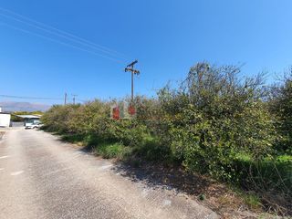 Οικόπεδο 2.630 τ.μ. για πώληση, Αργολίδα, Μιδέα-thumb-4