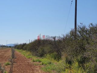 Οικόπεδο 2.630 τ.μ. για πώληση, Αργολίδα, Μιδέα-thumb-16