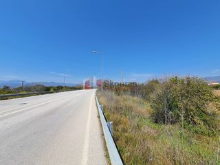 Οικόπεδο 2.630 τ.μ. για πώληση, Αργολίδα, Μιδέα-thumb-18